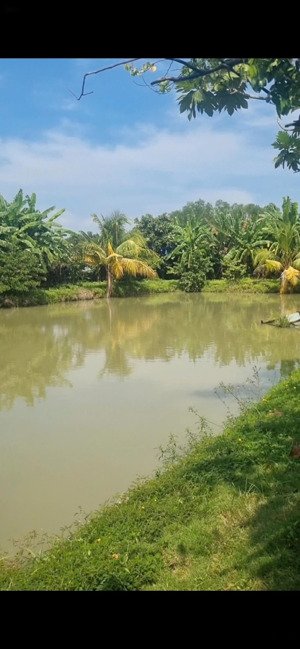 siêu phẩm 4.600m2 mặt tiền rạch ông đồ - bình chánh giá 100 tỷ