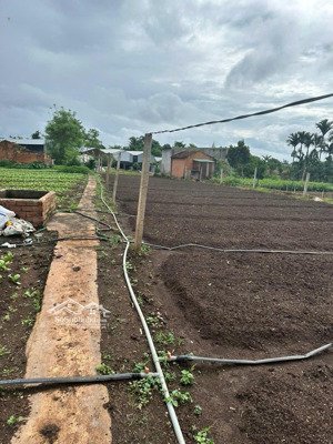 cực hiếm! nhà đất 2 mặt tiền khánh xuân, buôn ma thuột. diện tích 2.090m2. giá 2,95 tỷ - sổ riêng