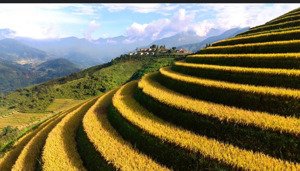 cần bán đất thổ cư ngay cổng topas ecolodge sa pa - lào cai