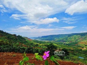 hàng đẹp cuối năm giá mềm view hồ ngọc chỉ 1,5tr/m2