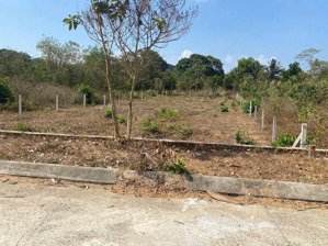 bán miếng vườn qh tmdv đất rộng 500m2 làm nhà vườn cấp 4 bao đẹp