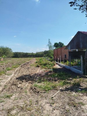 đất sào 1 sẹc đường dh507, phú giáo, 3426,6m2, sát bên trường học an linh