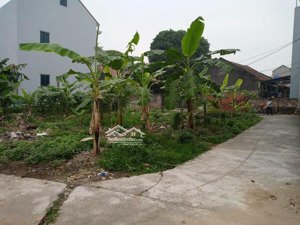 đất siêu rẻ : 900tr / 61m2 _tại xuân trúc-ân thi-hy_ vị trí đất ngay cổng kcn số 3