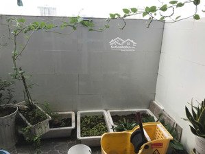 cần bán gấp căn hộ lakai đường nguyễn tri phương, quận 5