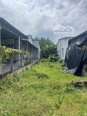 đất thổ cư 185m2 mặt tiền đường nhựa gần chợ suối sâu , trảng bàng . giá 550tr, sổ hồng riêng