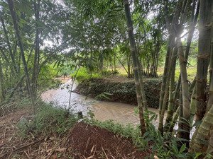 đất nghĩ dưỡng cách sg 3km . 1600m2 295tr đất vườn tôi chính chủ bể nợ bán gấp