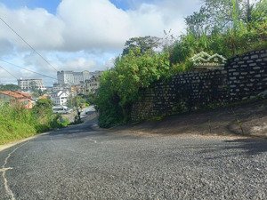 đất biệt thự đường khe sanh, diện tích 430m2 srxd, view rừng thông đẹp. đường ô tô. giá 16.5 tỷ