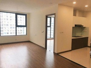 cho thuê căn hộ 2 ngủ 2 vệ sinh view đẹp ecogreen.