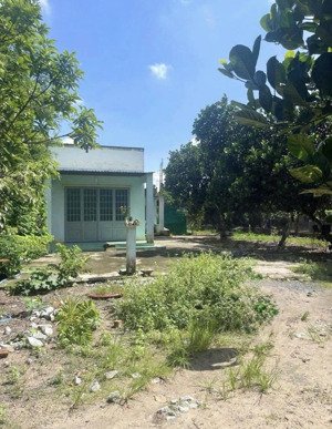 bán gấp mảnh vườn có sẵn nhà trên đất 2000m2 giá chỉ 750tr, ngay ql13, gần tttm, sổ hồng riêng.