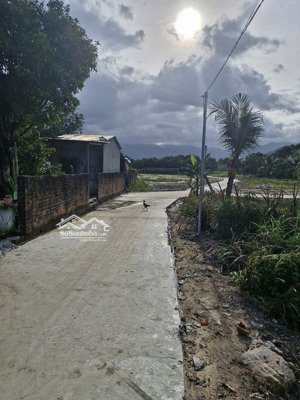 bán đất tại cam tân, cam lâm, khánh hòa, 380 triệu, 89m2! ngang 8m. đường bê tông 3m. mua là lãi
