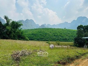 cần bán nhanh lô đất thổ cư gần serena resort tại kim bôi