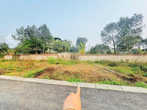 hàng ngon! 60m phúc tiến bình yên đường oto giá cần tiền bán gấp 2050