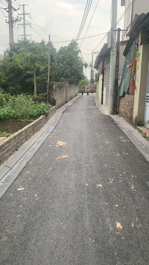 bán gấp đất tại thôn nhì, đông anh, hà nội, giá 4,3 tỷ, diện tích 55m2