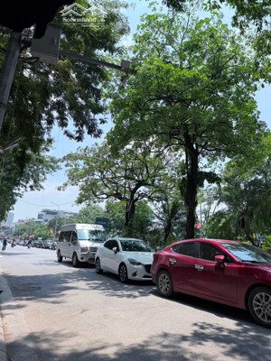 chính chủ cho thuê tòa văn phòng tại đường nguyễn văn thủ, p. đa kao, quận 1, tp. hcm - vị trí đẹp