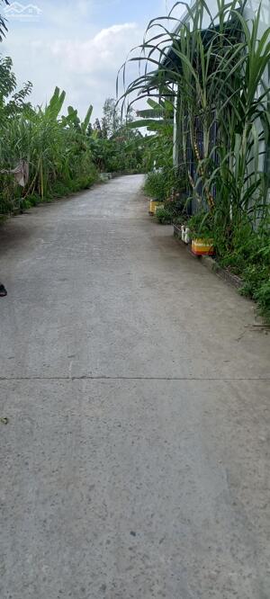 Bán đất cái răng