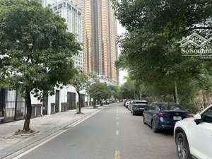 biệt thự song lập roman plaza tố hữu 191m², 4 tầng, mt 11m ngã tư tố hữu, lê văn lương