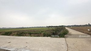 bán 510m đất vuông đẹp giá hơn 1 ty cổ loa đông anh hà nội