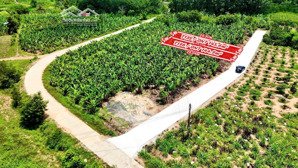 bán đất xuân phú, eakar, đắk lắk đường bê tông 144,9m2 ( 169triệu ) full thổ cư