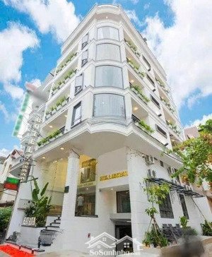 bán nhà 2 mặt tiền trần hưng đạo quận 1 dt: 4x20m 5 tầng