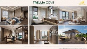 bán căn hộ trellia cove lk phú mỹ hưng ck 14,5% . ht vay 70% . nhận nhà 2027o