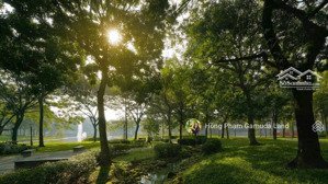 rổ hàng the glen celadon city view hồ - mua trực tiếp cđt/ck max 29%/trả giãn 3 năm/miễn lãi 2 năm