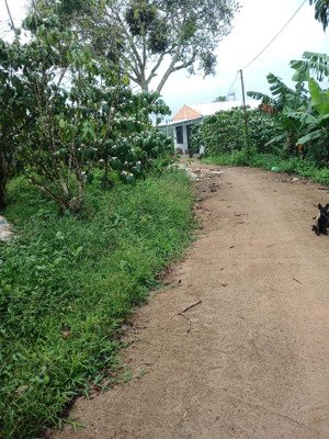 chính chủ cần bán sale giá ngộp cho khách thực sự có nhu cầu