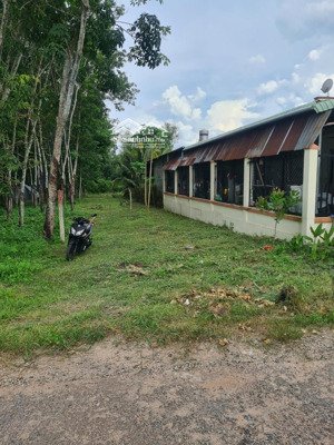 mình chủ cần bán gấp đất để trả nợ ngân hàng 1000m2 có 100m thổ cư có 11m ngang mặt tiền giá 650tr