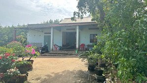 đất vườn bán gấp 1000m2, 150 triệu hỗ trợ sang tên