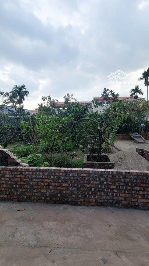 84.2m full thổ cư nằm sát đường 24m trục đại lô cảnh quan sông hồng