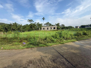 bán nhanh lô đất 1000m2 full thổ cư góc hai mặt tiền, gần dự án sun group, đất tại kim bôi-hòa bình