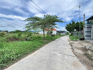 bán đất thôn phước lâm xã tân định (ninh xuân cũ), dt 4800m2 sổ hồng mới ra, giá chỉ 3.5 triệu/m2