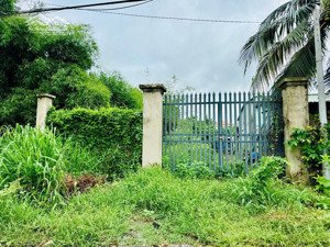 kinh doanh lỗ, cô an bán lô đất siêu đẹp 200m2 ngang hẳn 8m ngay cạnh trường tiểu học phước vĩnh an