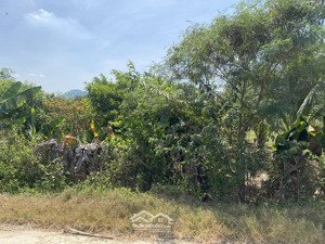 bán đất 6416m2 lô góc 2 mặt tiền thôn bắc xã nam ninh hòa (ninh tân cũ) đường bê tông, chỉ 2.5tr/m2