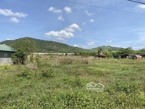 bán đất buôn đung xã tây ninh hòa (ninh tây cũ) dt 6510m2, đất 3 mặt tiền, đường nhựa chỉ 2.8tr/m2