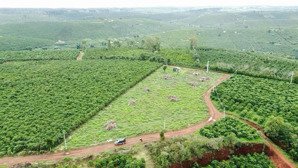 bán đất 2 mặt tiền tại xã lộc ngãi, bảo lâm, lâm đồng, 2,8 tỷ, 5590m2