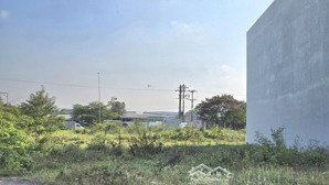 chính chủ cần bán 300m2 đ ất thổ cư trần thế sinh đường ô tô giá rẻ 15tr/m2 - 