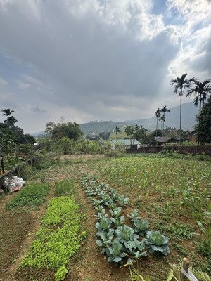 +chính chủ cần bán gấp đất nghỉ dưỡng giá rẻ view thoáng tuyệt đẹp +diện tích 860m có 150m tc , đ