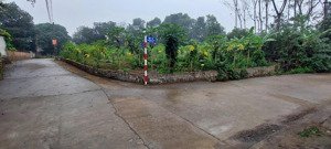 cần bán lô đất 800m2, tại linh sơn, bình yên, lô góc. chỉ nhỉnh 20 triệu/m2