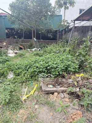 bán đất cổ điển - hải bối,ô tô thông,diện tích 72m - 6,45 tỷ