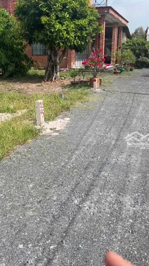 5x35 full thổ. sổ sẵn. dân đông. 290tr