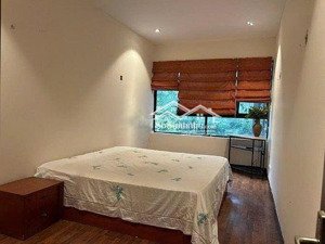 cho thuê căn hộ cao cấp tại láng hạ 170m2, 3 ngủ giá 19 triệu đầy đủ nội thất rộng rãi thoáng mát