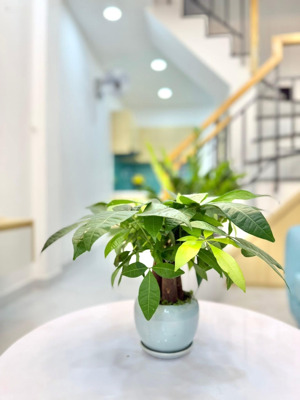 sd60m2, bán nhà đẹp 2 tầng, trần quang diệu, p9 quận 3, 4 tỷ nhỉnh