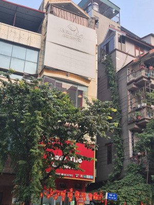 bán nhà mặt phố giang văn minh - ba đình: lô góc, kinh doanh vip, vỉa hè 4m , 19.9 tỷ