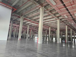 cho thuê kho 11.500m2 - 24.000m2, kcn thuận đạo, long an, pccc tự động, bình điện 1.000kva