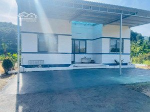 bán nhà vườn xóm cỏ, sơn bình, khánh sơn, khánh hòa, giá 1,9 tỷ