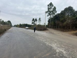 bán đất 2 mặt tiền diện tích 1ha - phù ninh phú thọ