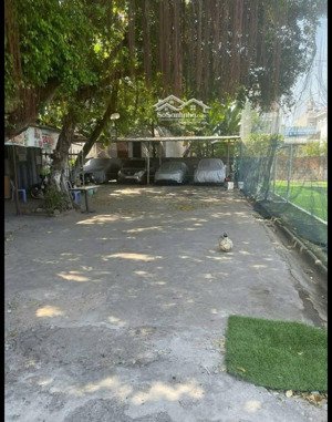 hàng hiếm bán gấp lô đất phường 11, vũng tàu gần 2.900m² giảm sâu 15 tỷ xây chung cư, phân lô