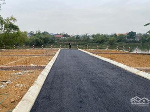 bán đất đồng trạng - cổ đông | giá đầu tư chỉ từ 2.5 tỷ/lô