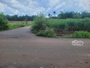 quyền sử dụng đất thuộc thửa đất số 139, tờ bản đồ số 78 tại xã nghĩa thành, thành phố hồ chí minh