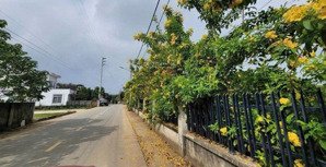 đất đẹp view hồ hàng hiếm trung tâm cổ đông/ full thổ cư - giá tốt chỉ từ 22tr/m2